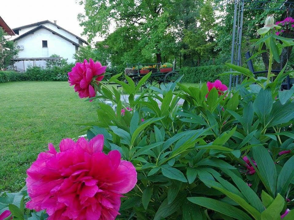 B&B Villa Una Біхач Екстер'єр фото